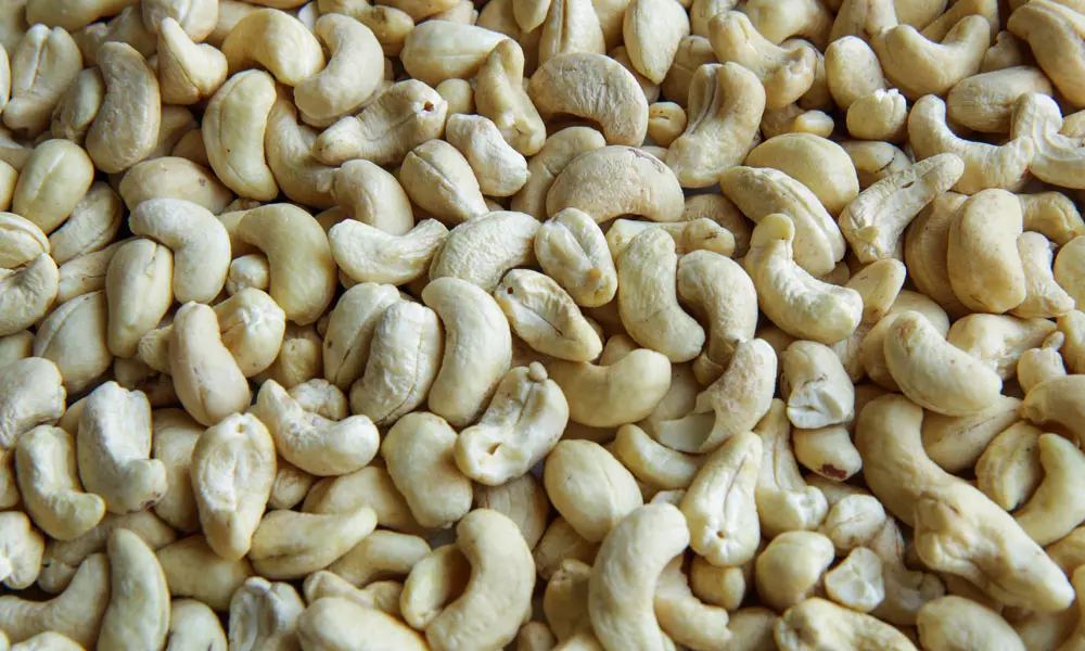 Cashew Nut