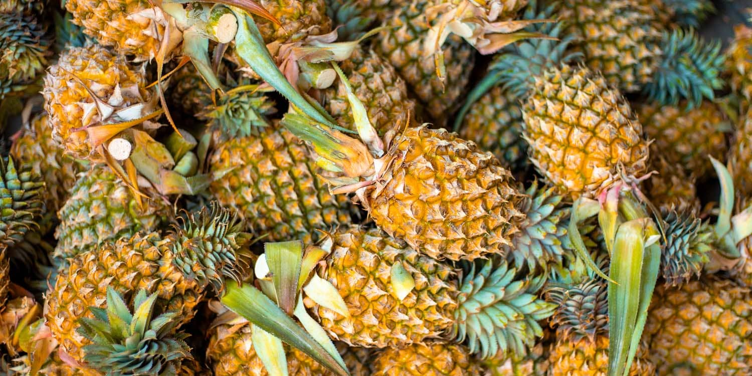 Pineapple